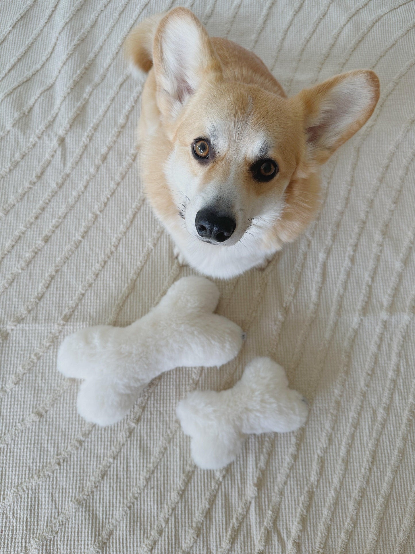 Natural Sheepskin Dog Toy Bone
